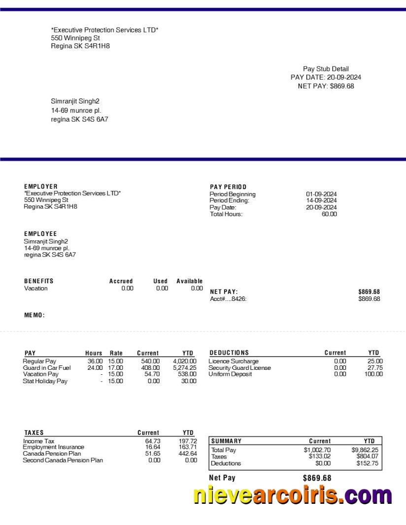 Executive Protection Services LTD pay stub
